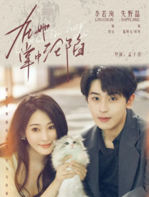 在她掌中沦陷（50集）