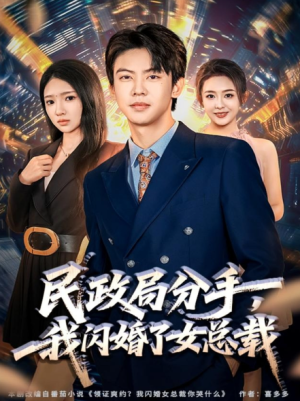 民政局分手，我闪婚了女总裁（72集）