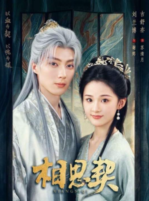 相思契（74集）