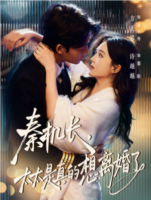 秦机长太太是真的想离婚了（74集）