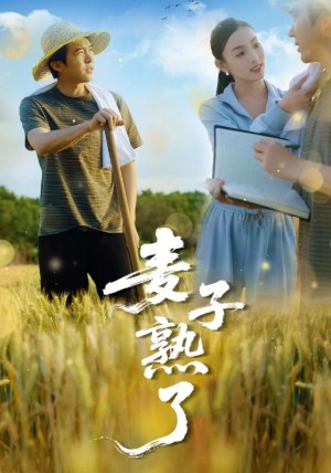 麦子熟了（52集）