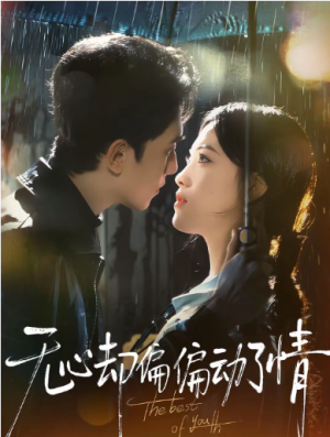 无心却偏偏动了情（80集）