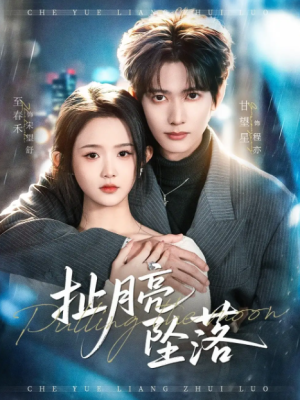 扯月亮坠落（81集）