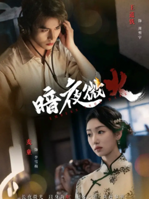 暗夜微火（80集）