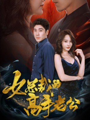 女总裁的高手老公（75集）
