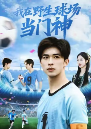 我在野生球场当门神（31集）
