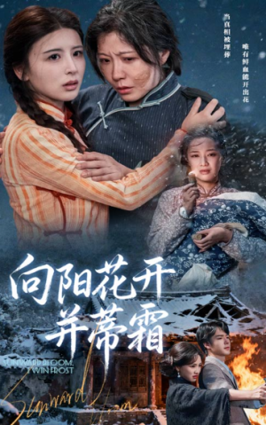 向阳花开并蒂霜（60集）
