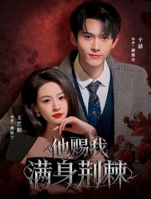 他赐我满身荆棘（80集）