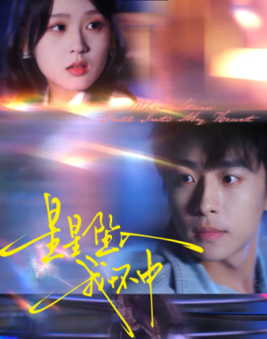 星星坠入我怀中（80集）