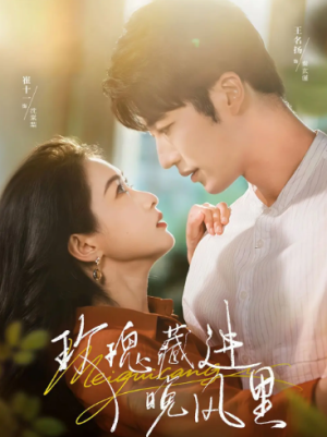 玫瑰藏进晚风里（68集）