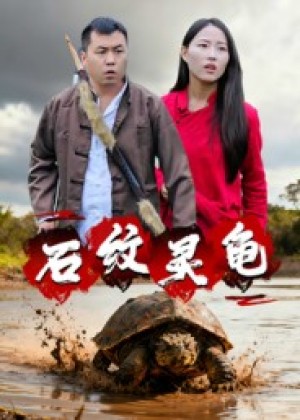 石纹灵龟（30集）