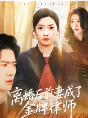 离婚后前妻成了金牌律师（94集）