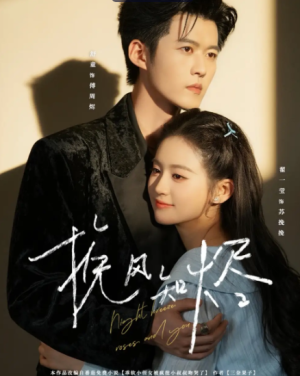 挽风知烬（78集）