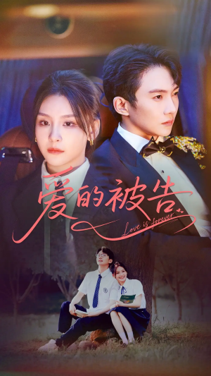 爱的被告（70集）