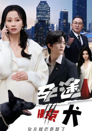 孕途惊犬女儿奴老爸怒了（30集）