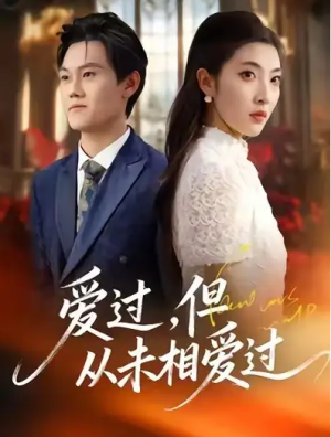爱过但从未相爱过（30集）