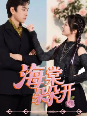 海棠朵朵开（64集）