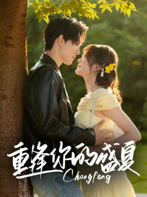 重逢你的盛夏（66集）