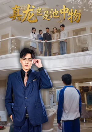 真龙岂是池中物（80集）