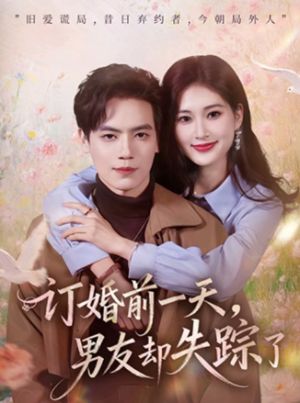 订婚前一天男友却失踪了（60集）