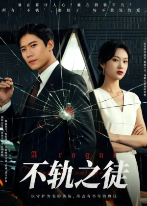 不轨之徒（72集）