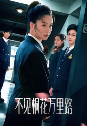 不见桐花万里路（71集）
