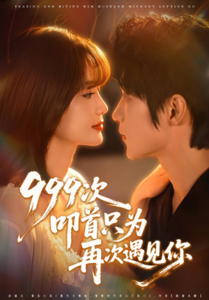 999次叩首只为再次遇见你（80集）