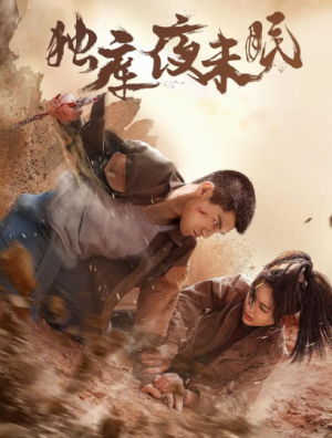  独库夜未眠（20集）