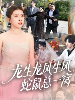 龙生龙凤生凤蛇鼠总一窝（60集）
