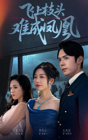 飞上枝头难成凤凰（47集）