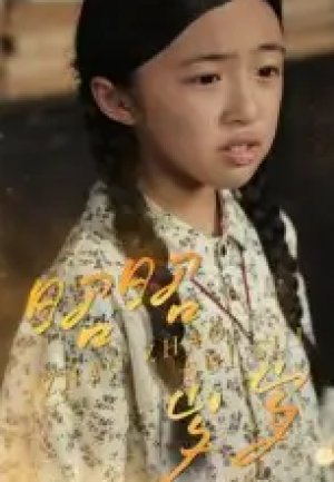 昭昭岁岁（30集）