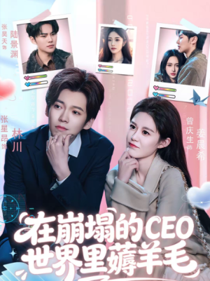在崩塌的CEO世界里薅羊毛（70集）