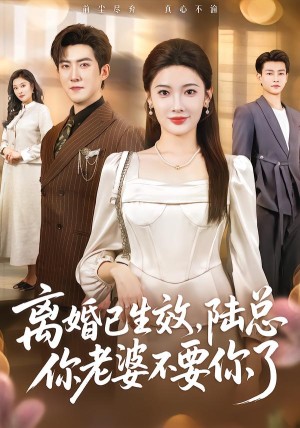 离婚已生效陆总你老婆不要你了（61集）