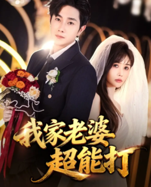 我家老婆超能打（60集）