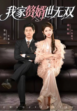 我家赘婿世无双（73集）
