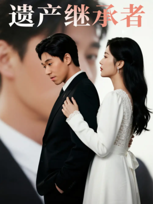 遗产继承者（32集）