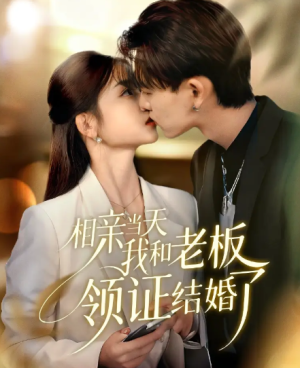 相亲当天我和老板领证结婚了（52集）