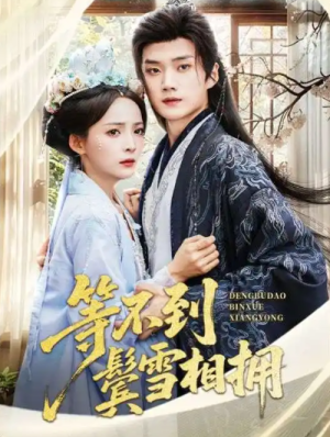 等不到鬓雪相拥（61集）