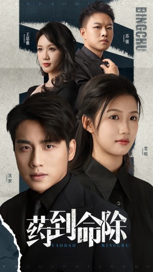 药到命除（72集）