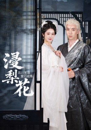浸梨花（50集）