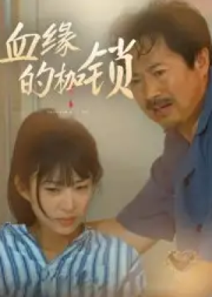 血缘的枷锁（60集）