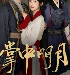 掌中明月（60集）