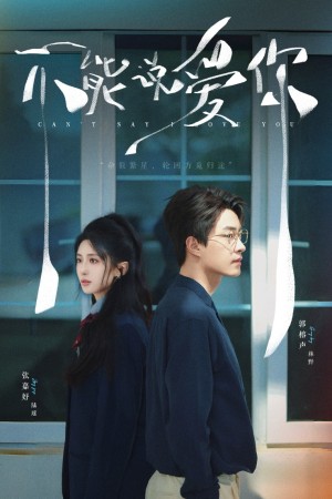 不能说爱你（64集）