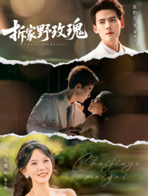 拆家野玫瑰（80集）