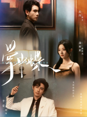 掌中蝶（84集）