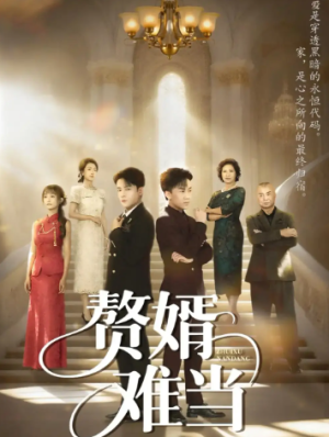 婿业难成&赘婿难当（69集）