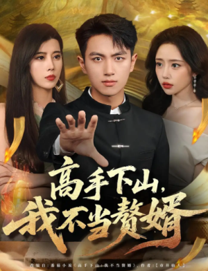 高手下山我不当赘婿（66集）