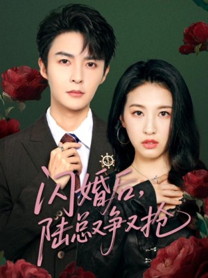 闪婚后陆总又争又抢（83集）