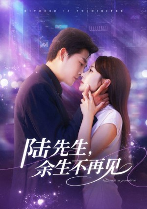 陆先生，余生不再见（88集）