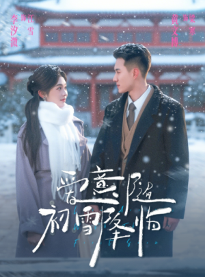 爱意随初雪降临（66集）